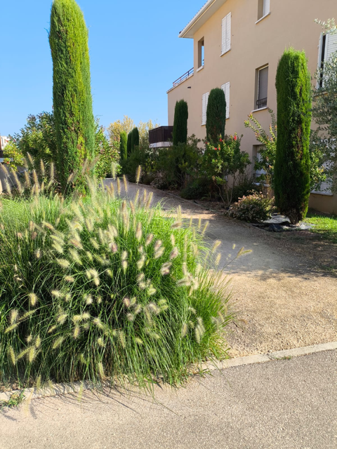 Contrat d'entretien d'espaces verts pour copropriétés à Marseille